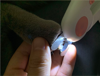 Pet Nail Scissors LED Cat Nail Clipper Trimmer